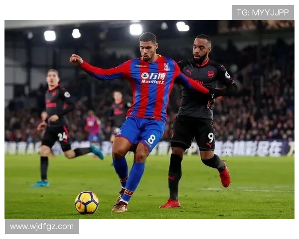 水晶宫俱乐部新赛季备战动态引发球迷广泛关注球队阵容调整进展动